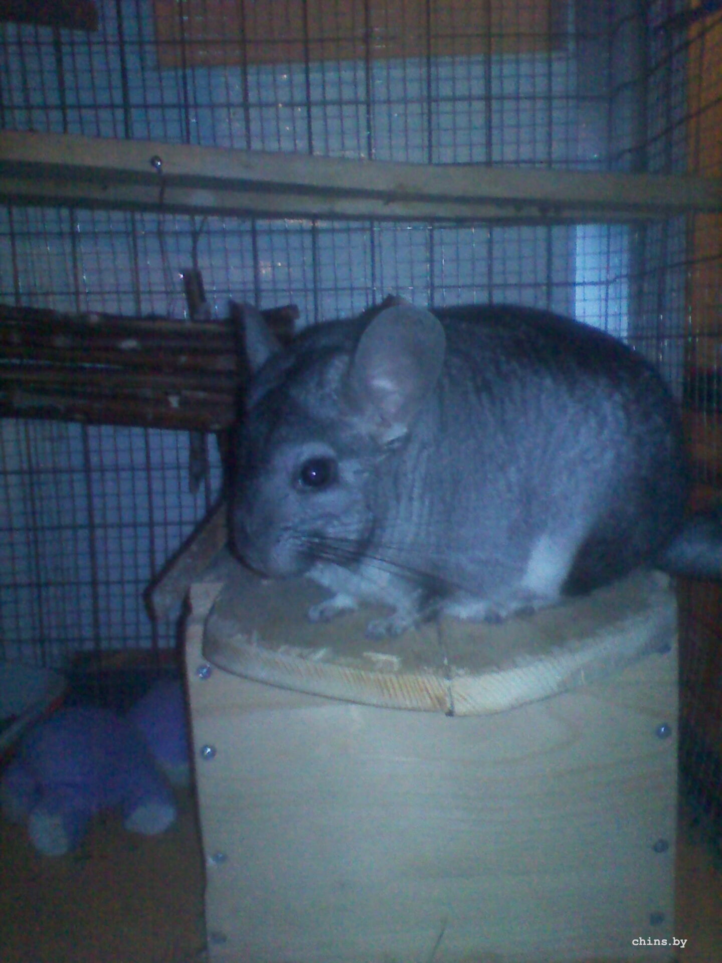 это мой домик