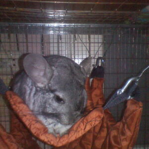 любимый этаж