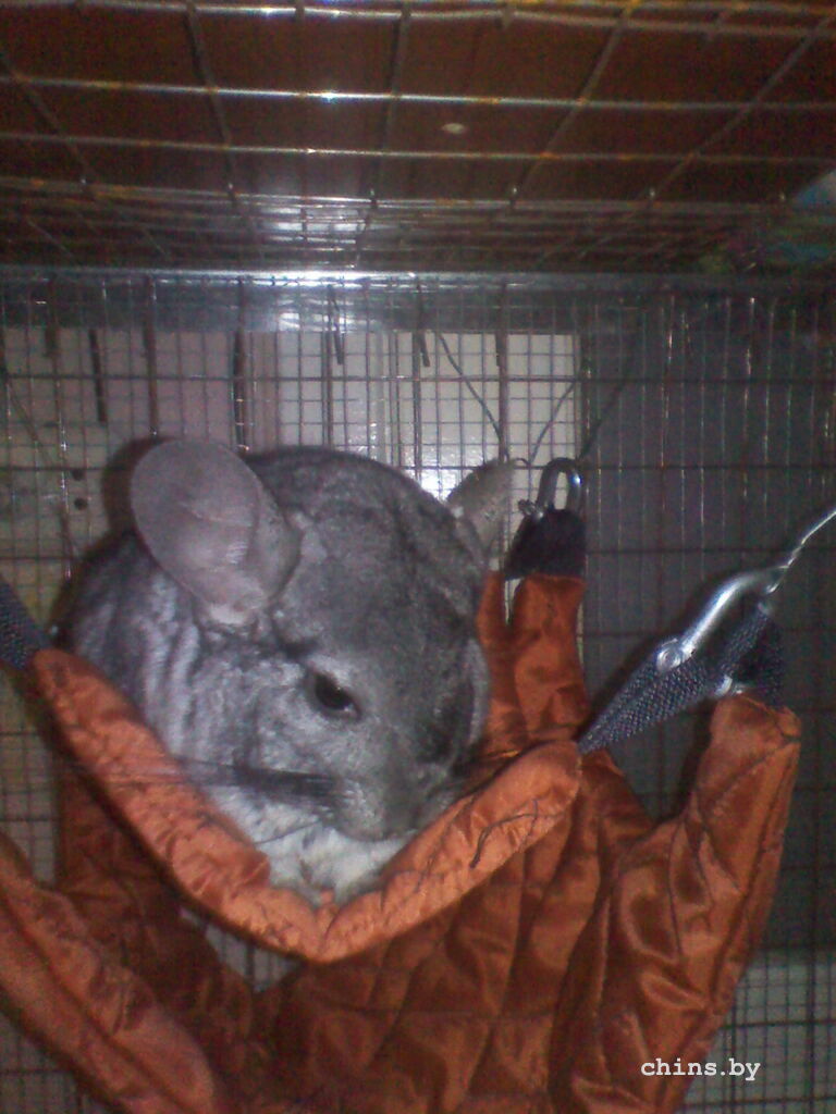 любимый этаж