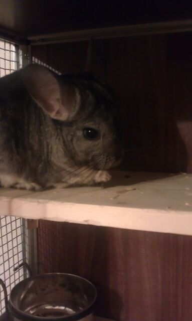 Attachments_eu.vanow2013@yandex.ru_2013-04-05_00-17-46