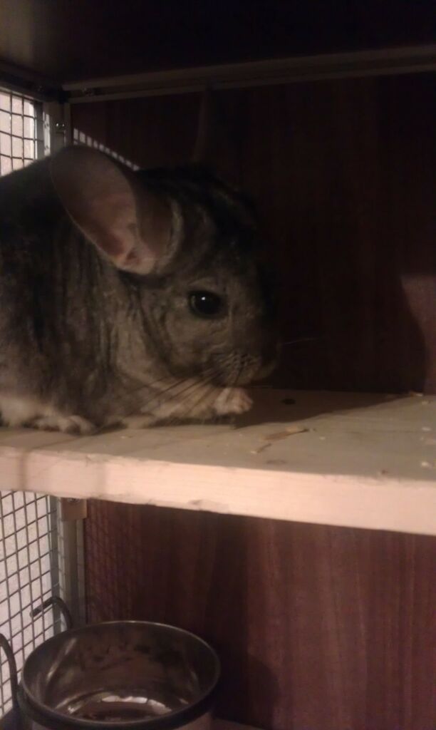 Attachments_eu.vanow2013@yandex.ru_2013-04-05_00-17-46