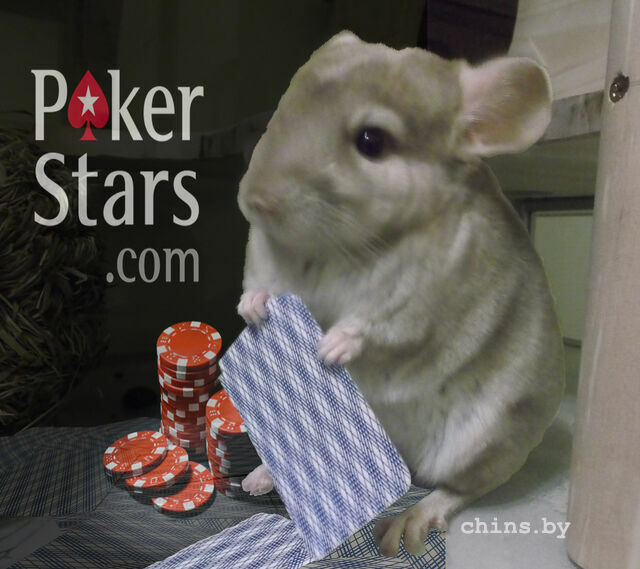 Laky Poker Star