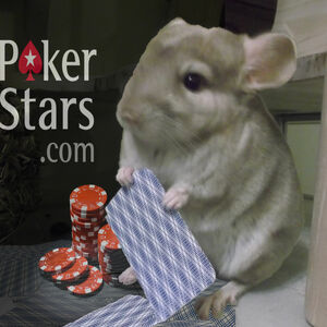 Laky Poker Star