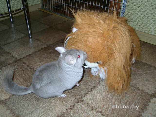 PICT0043