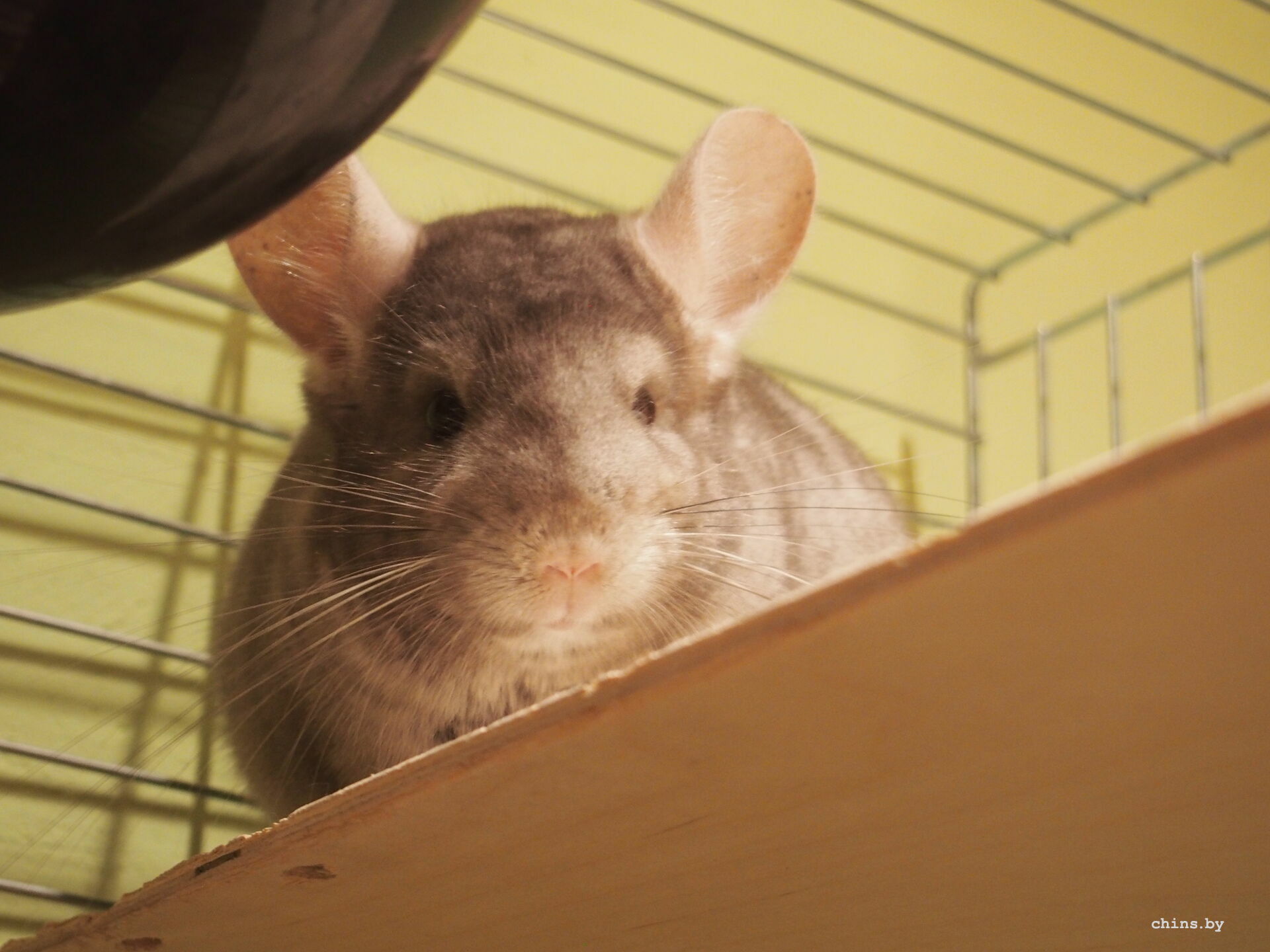 Ой, я вас боюсь!!!!!