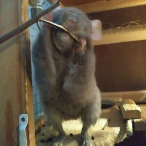 photo_2020-12-28_00-47-20