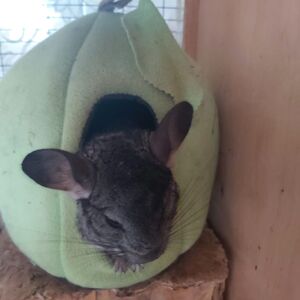 WhatsApp Image 2025-07-31 at 16.52.50