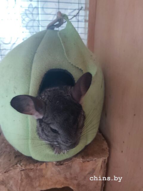 WhatsApp Image 2025-07-31 at 16.52.50