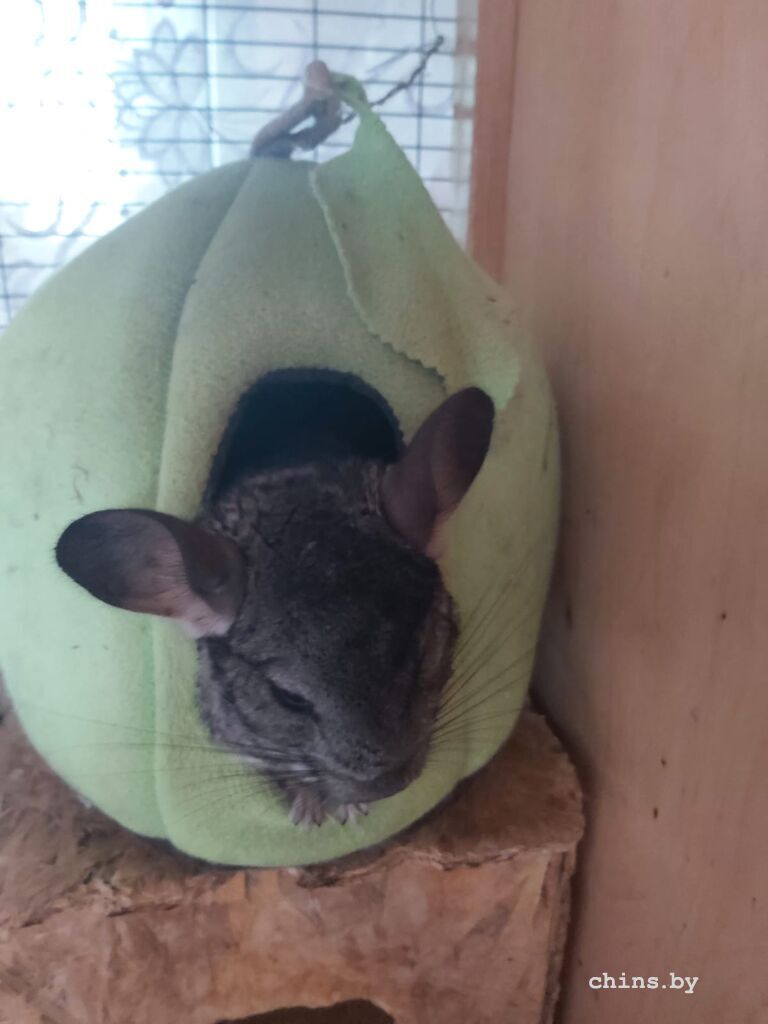 WhatsApp Image 2025-07-31 at 16.52.50