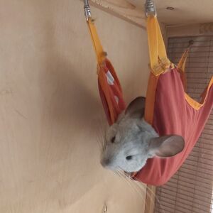 WhatsApp Image 2025-07-31 at 16.52.51