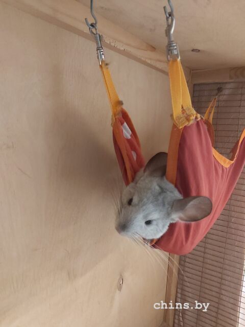 WhatsApp Image 2025-07-31 at 16.52.51